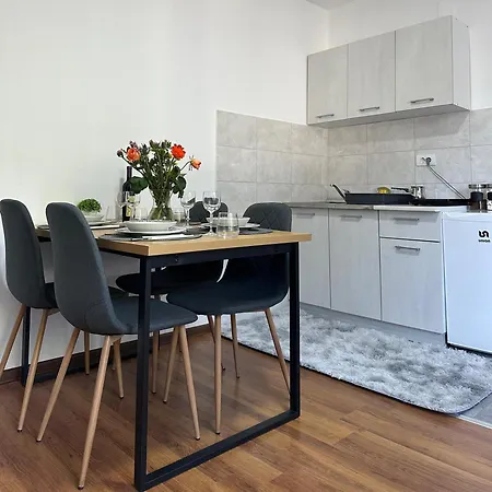 Stan Na Dan * Raška